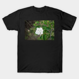 Spring White Flower T-Shirt